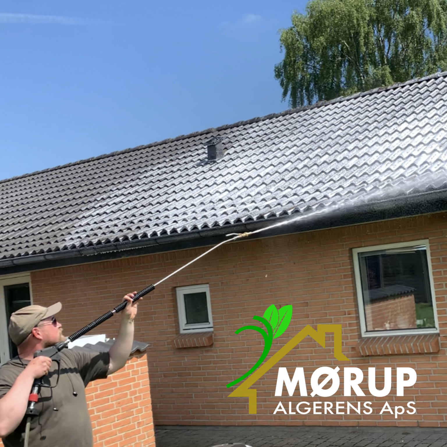 Hus renset for alger af Mørup Algerens